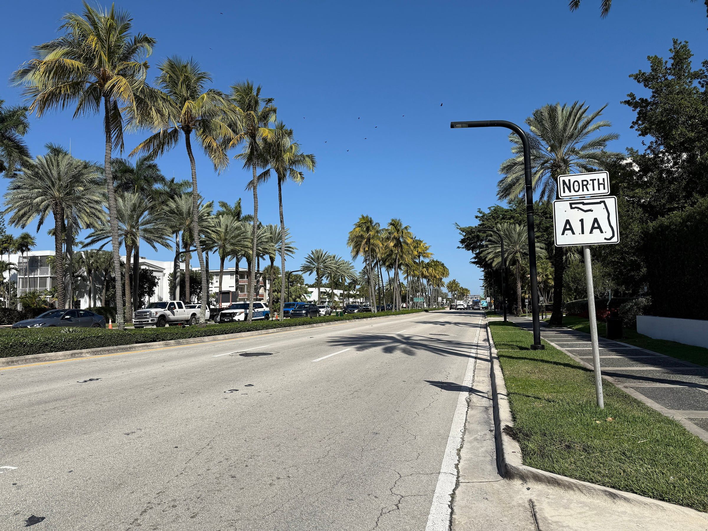 Palm-lined Collins Avenue in Bal Harbour