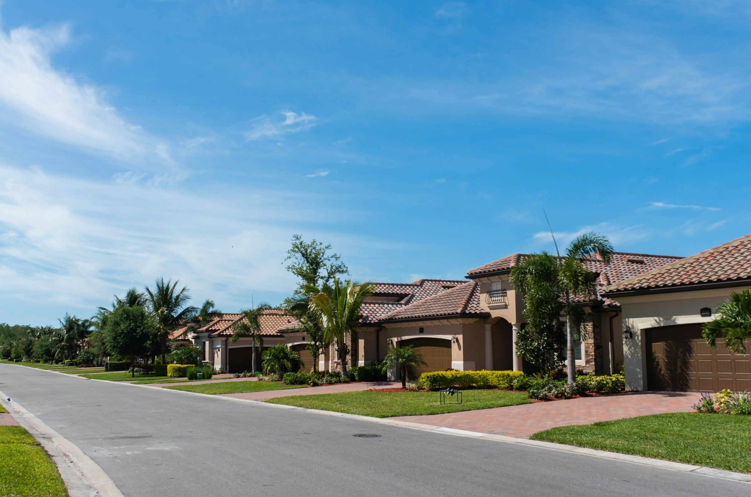 Palm-lined residential street with tile-roof homes in South Florida